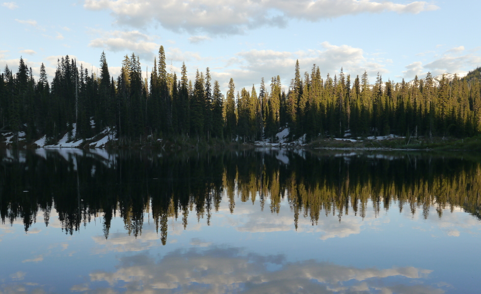 Backpacking the Monashees