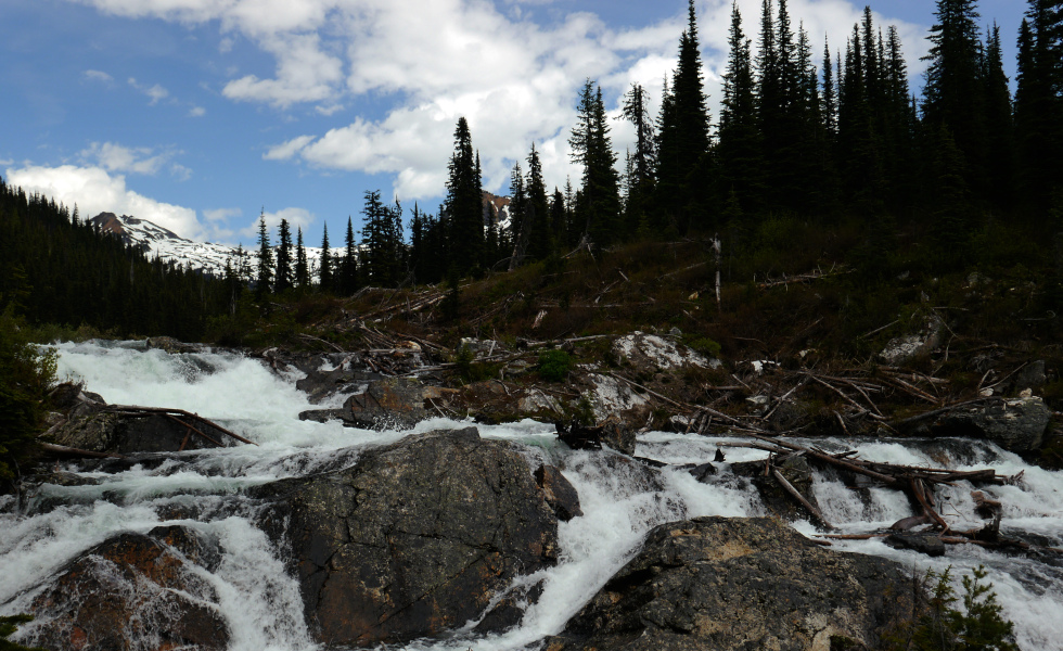 Visit Monashee Provincial Park